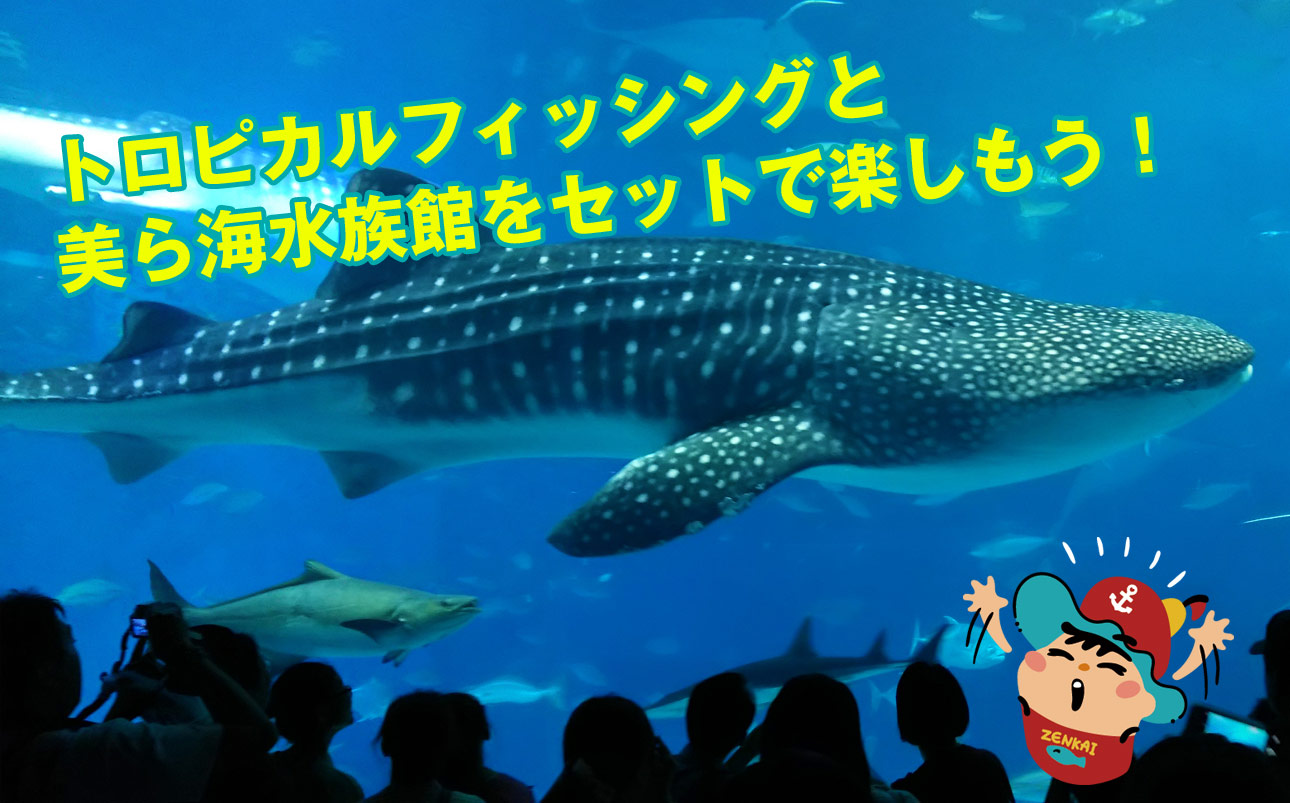 トロピカルフィッシング＋沖縄美ら海水族館入館チケット付セットプラン